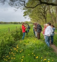 Zomerweken - Kruidenwandeling - door Esther Verschure